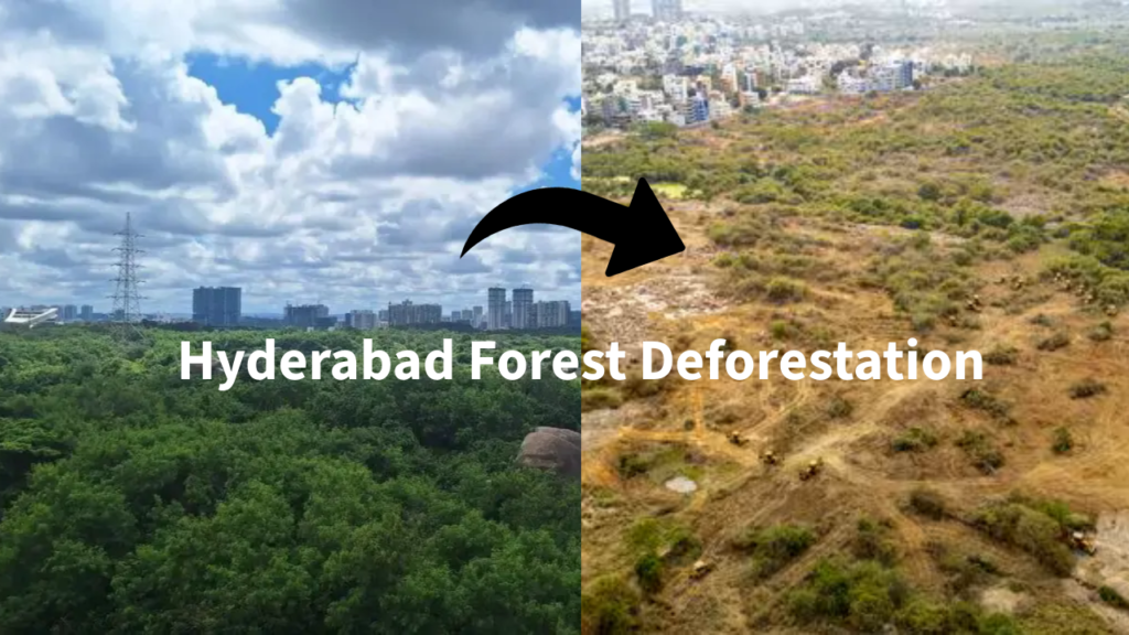 Kancha Gachibowli